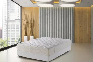 פולירון ברג - על רקע חדר